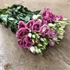 LISIANTHUS ROSA DUBBEL ROSITA